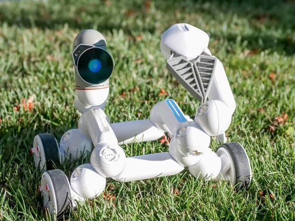 Mdm informatique : des solutions sur mesure pour votre entreprise